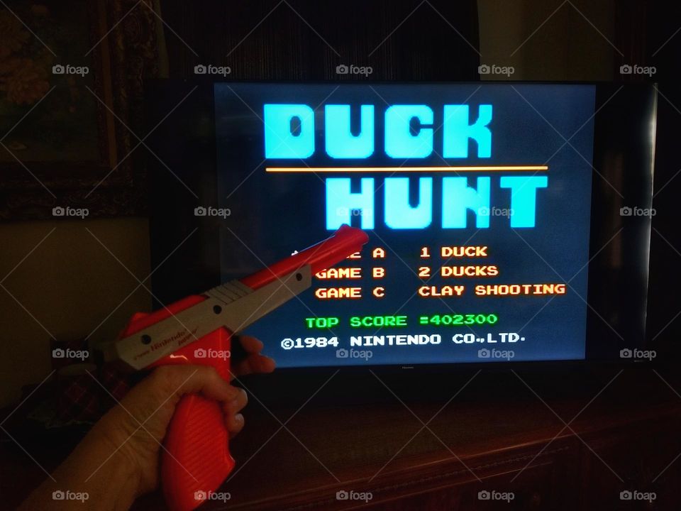 Duck Hunt