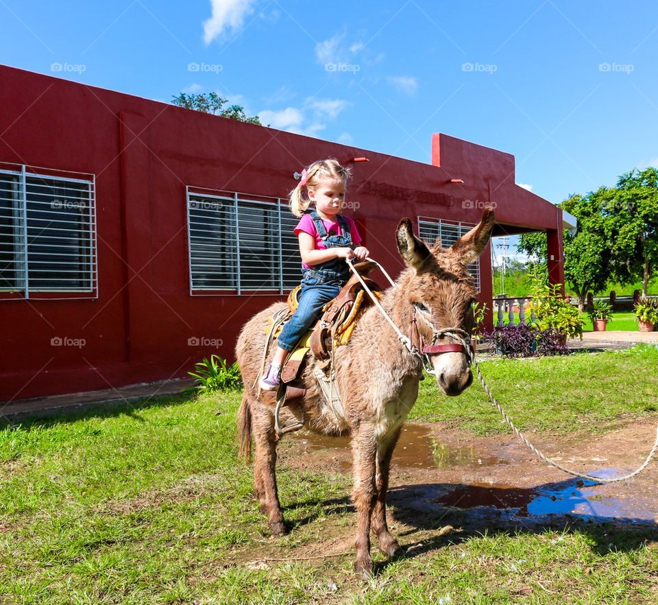 Child riding a mini donkey