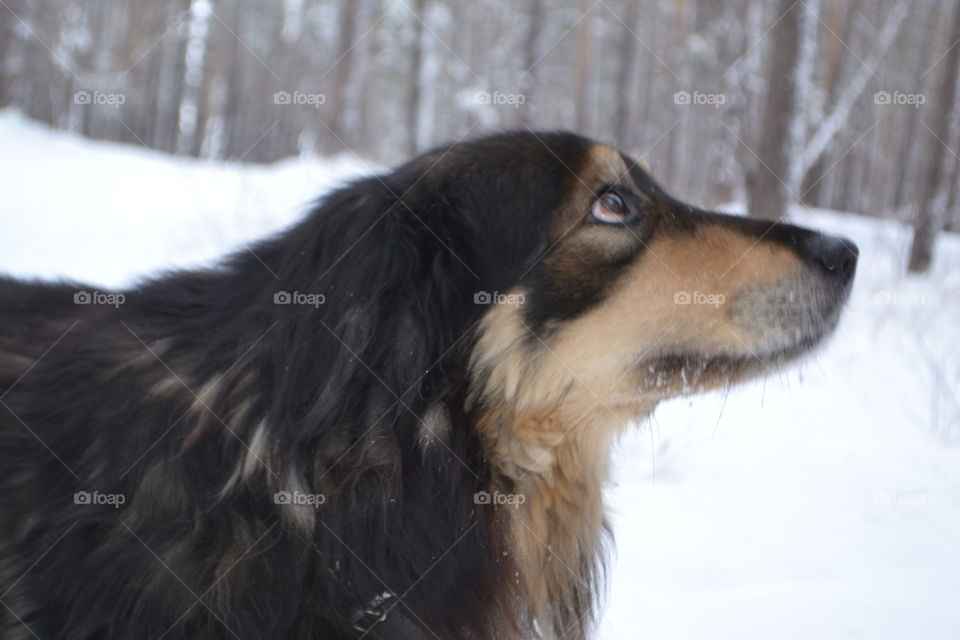 Winter activities outside