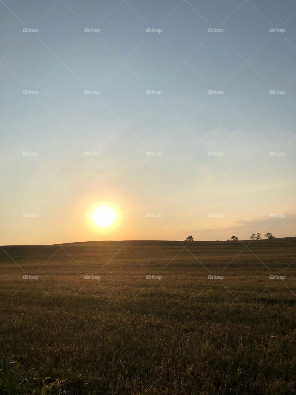 Sun setting over a farm 