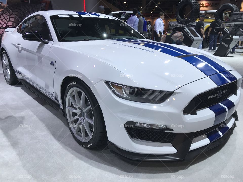 Shelby GT350X