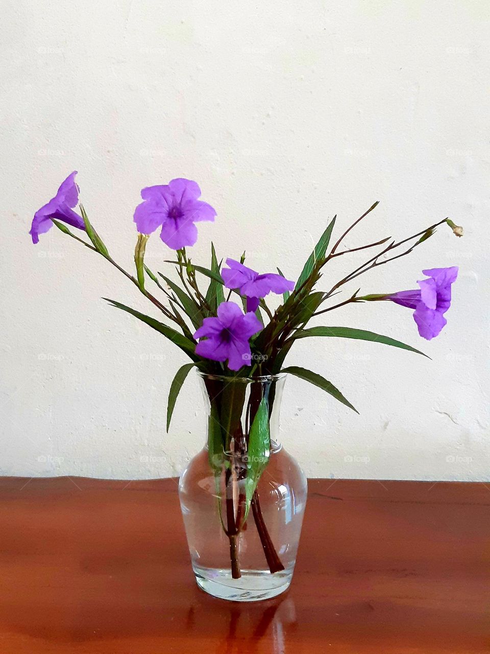 Close up the purple colour of flowers in vase. Beautiful, bright and  colourful flowers