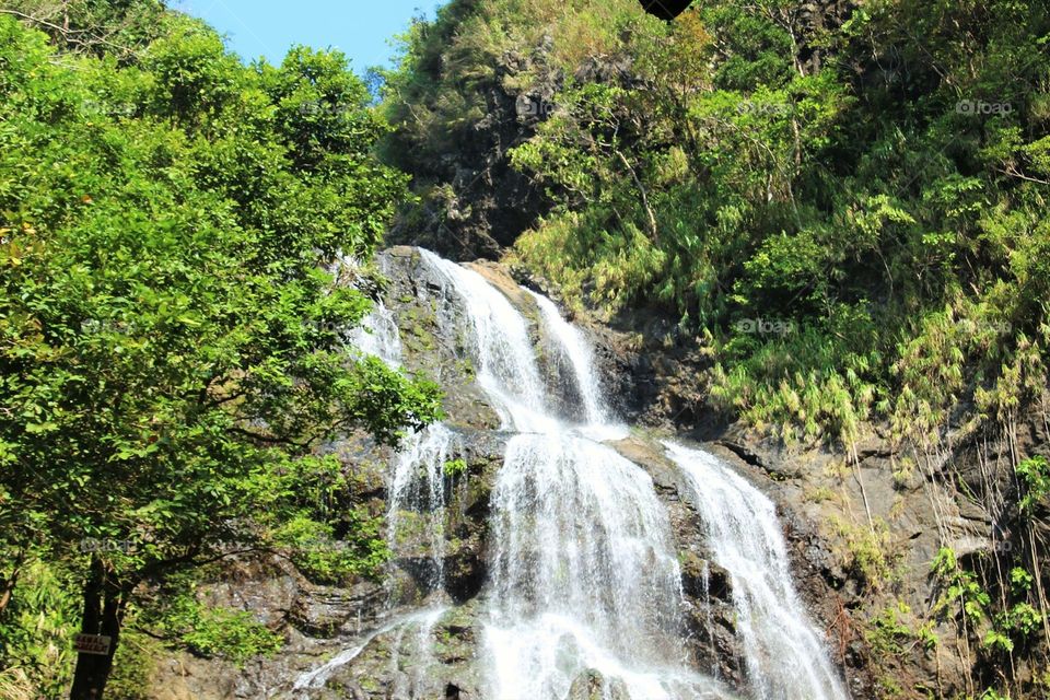 Waterfalls