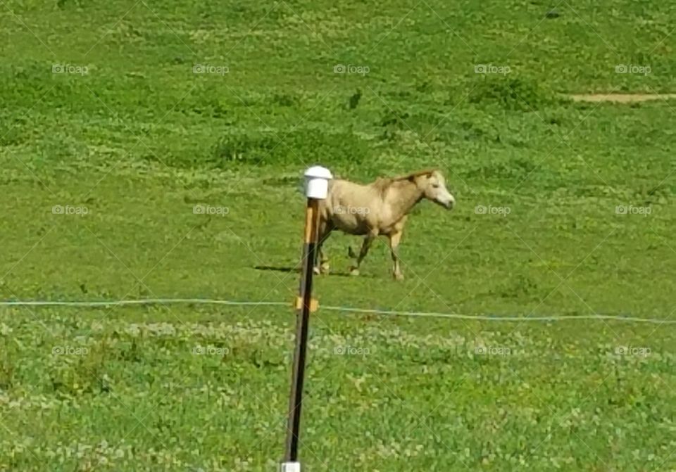 Driving the Back Roads and enjoying everything around us