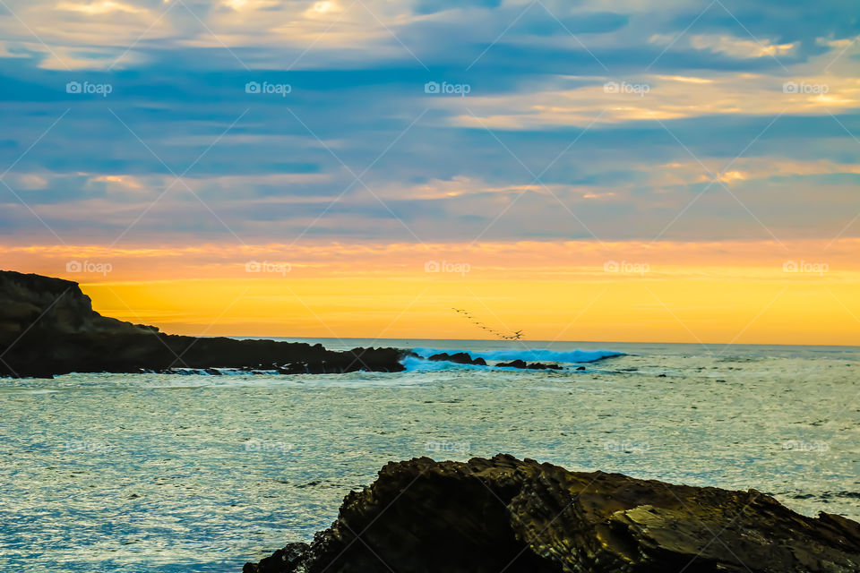 Seabirds and crashing wave at sunset