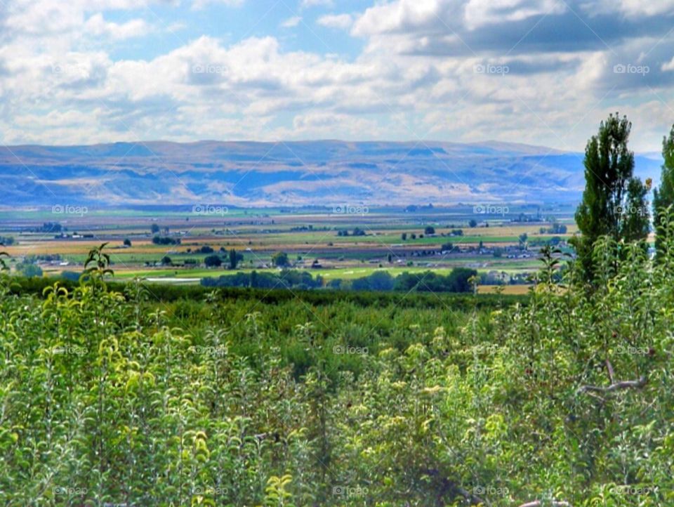 Idaho valley view 
