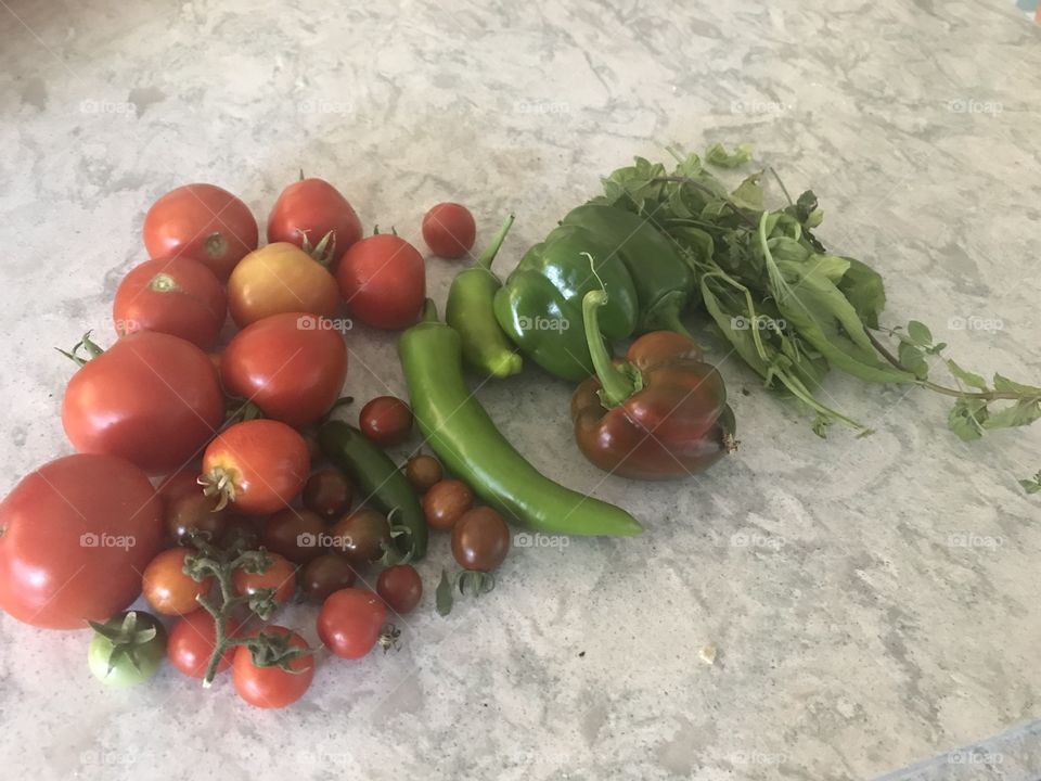 Fresh organic garden veggies 