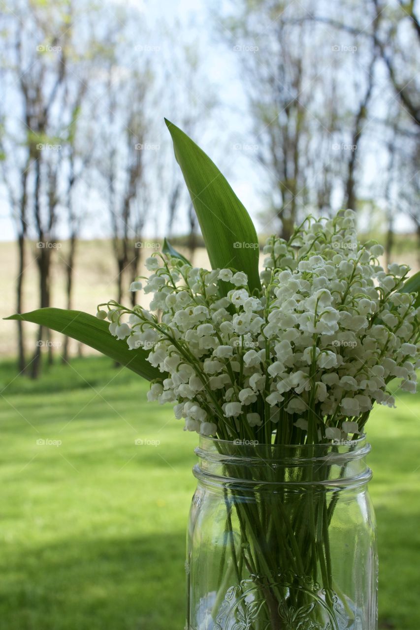 Low-angle view of Lily of the Valley blossoms in a mason jar against a blurred rural background