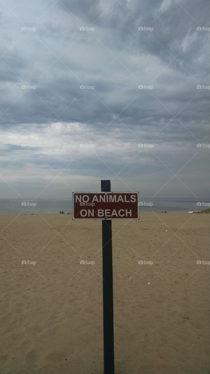 no animals and great view of the great lake of Michigan