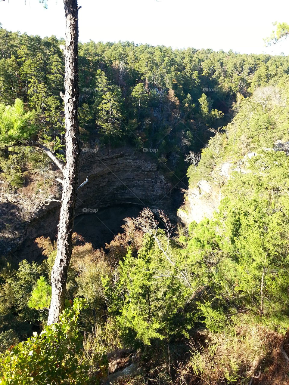 scenic overlook while hiking.