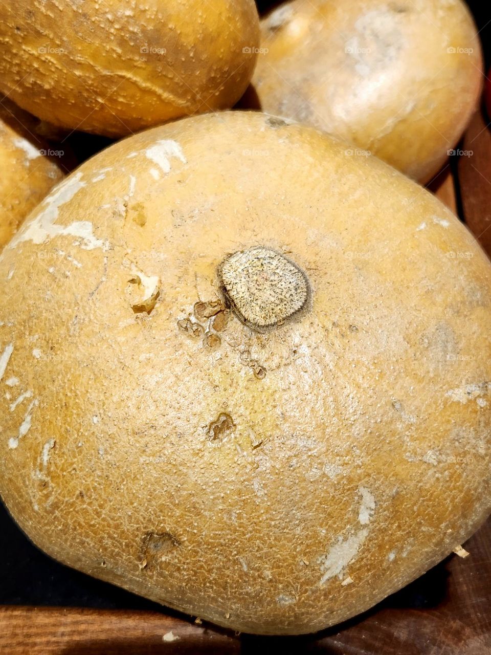 close up view of fresh brown jicama for sale at an Oregon market ready to be a delicious healthy snack or meal