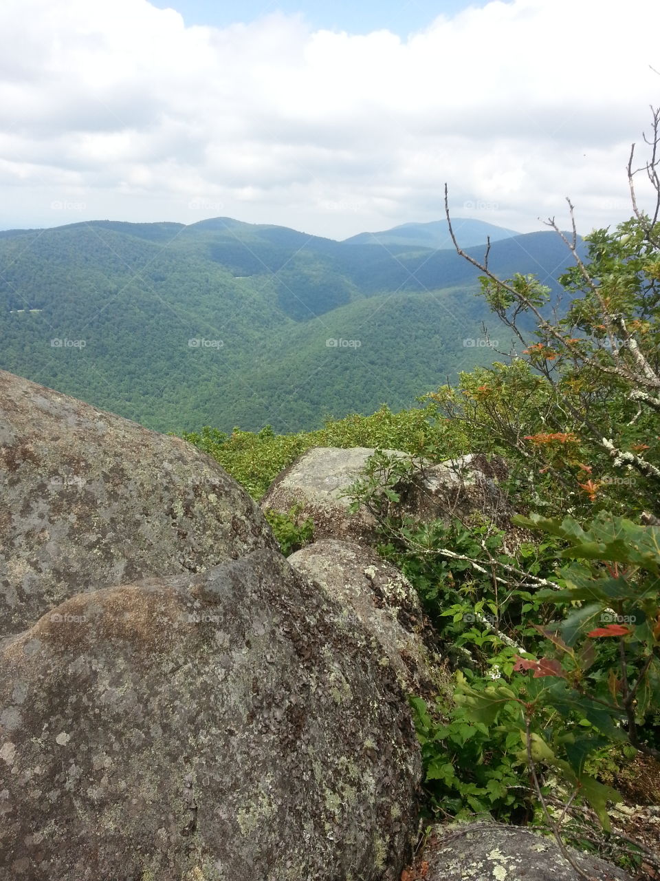 Flat Top Mountain Summit