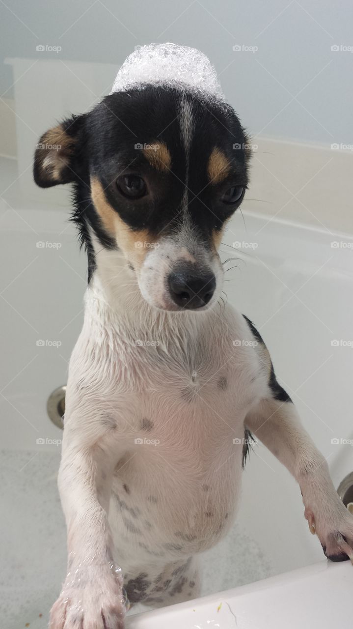 bath time!