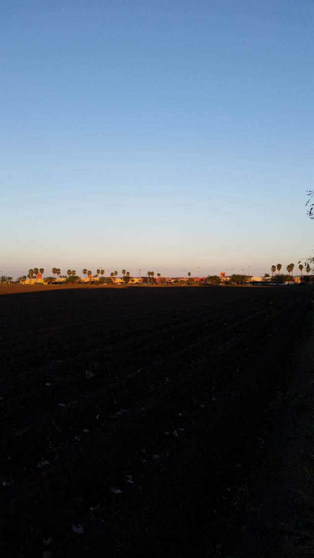field, mall