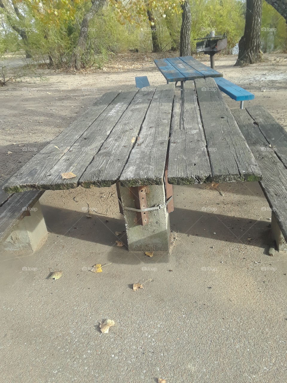 Park Picnic Benches Wooden