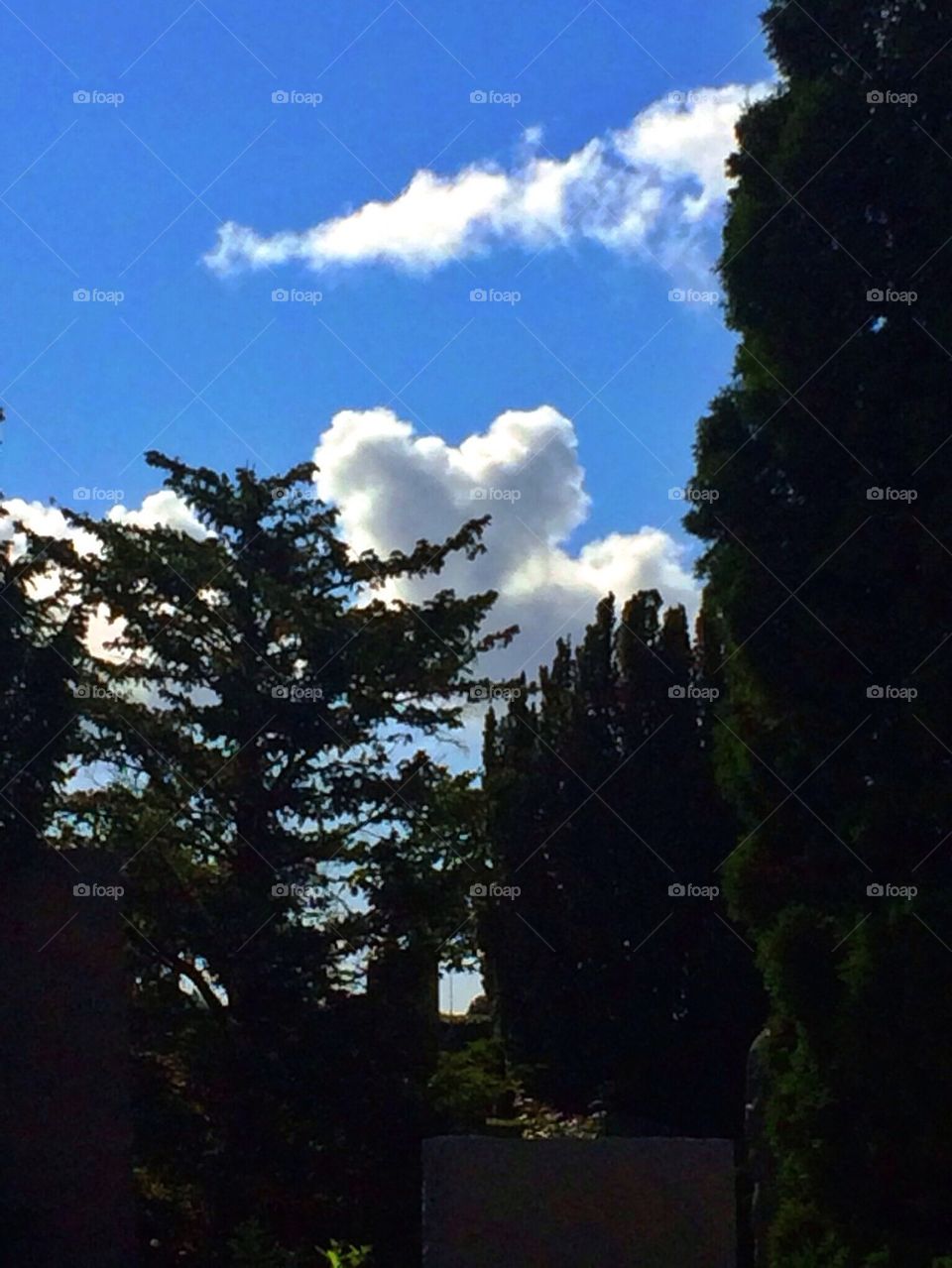 Love is in the air. Clouds like a heart
