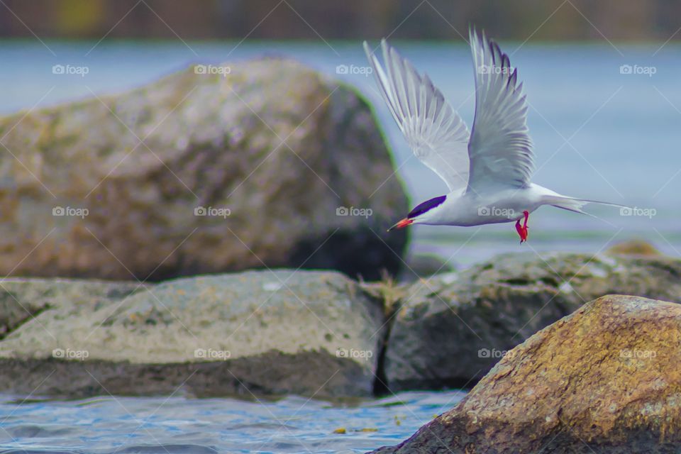 Kuggeboda, Ronneby, Sweden