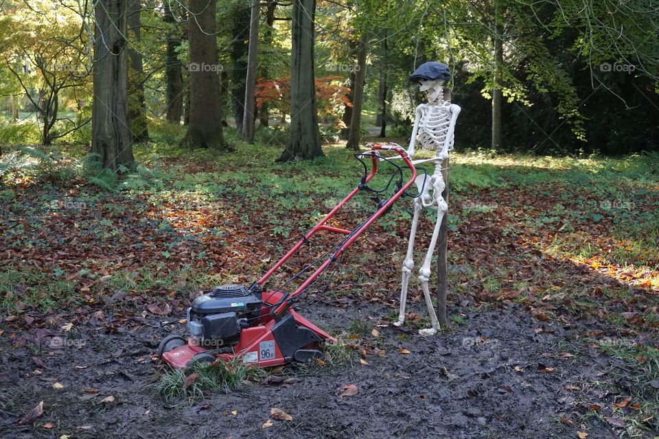 Final call to cut the grass ... by a skeleton ?!?! 