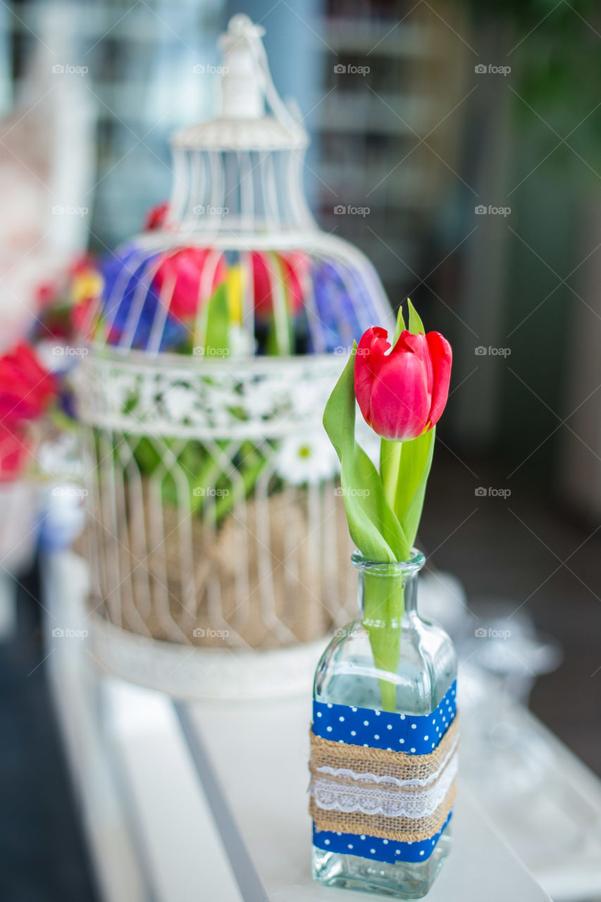 Red tulip with flower cage