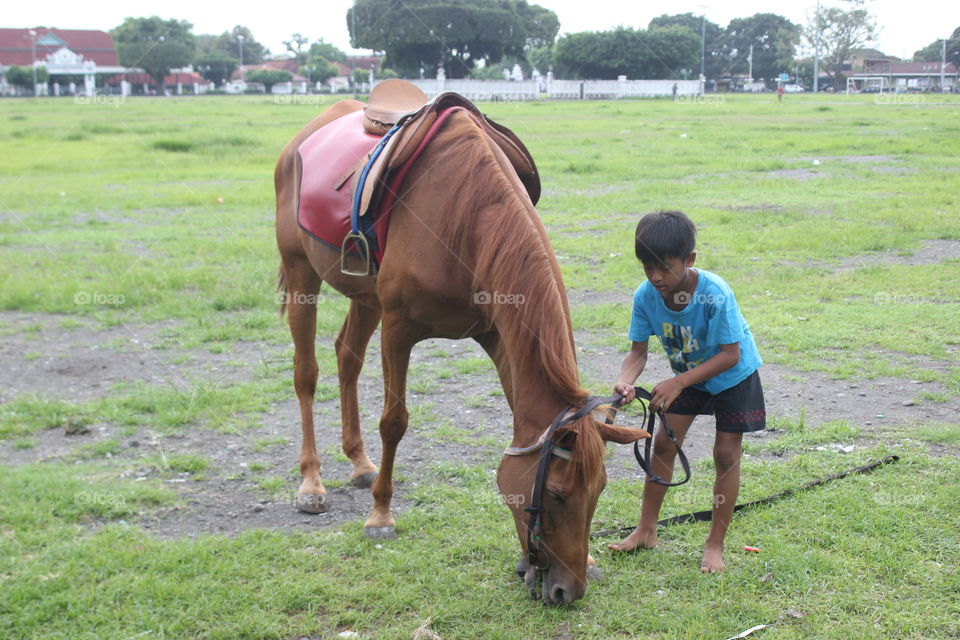 boy with the horse