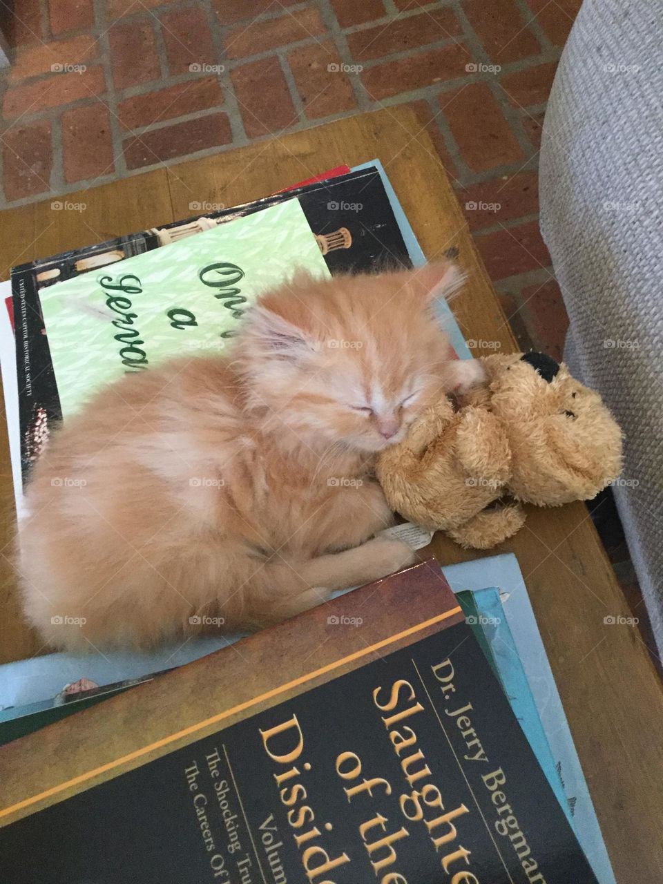 Snuggling with a stuffy. 