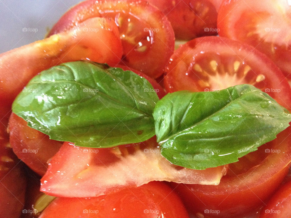 summer sallad tomatoes adorable by mrsmi