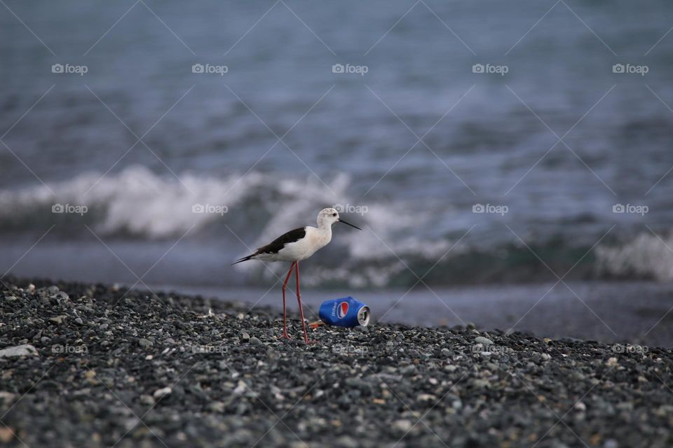 On the beach