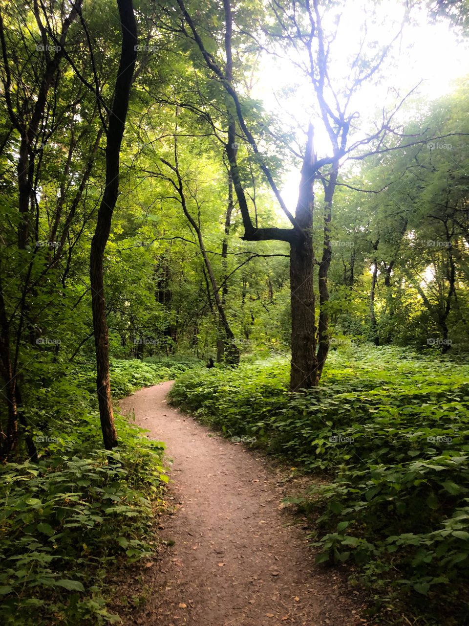 Nature trail