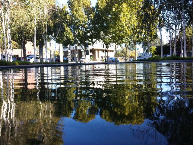 reflection