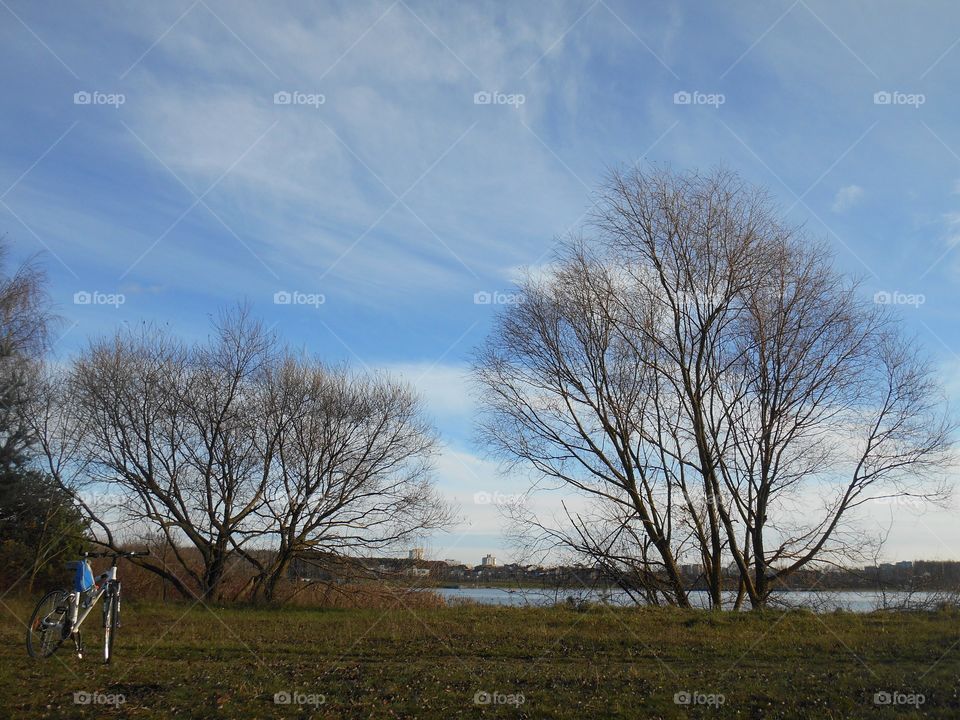 trees growing on a lake shore and bike beautiful landscape blue sky background