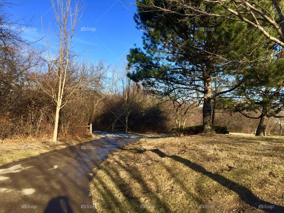 Winter Day in the Park