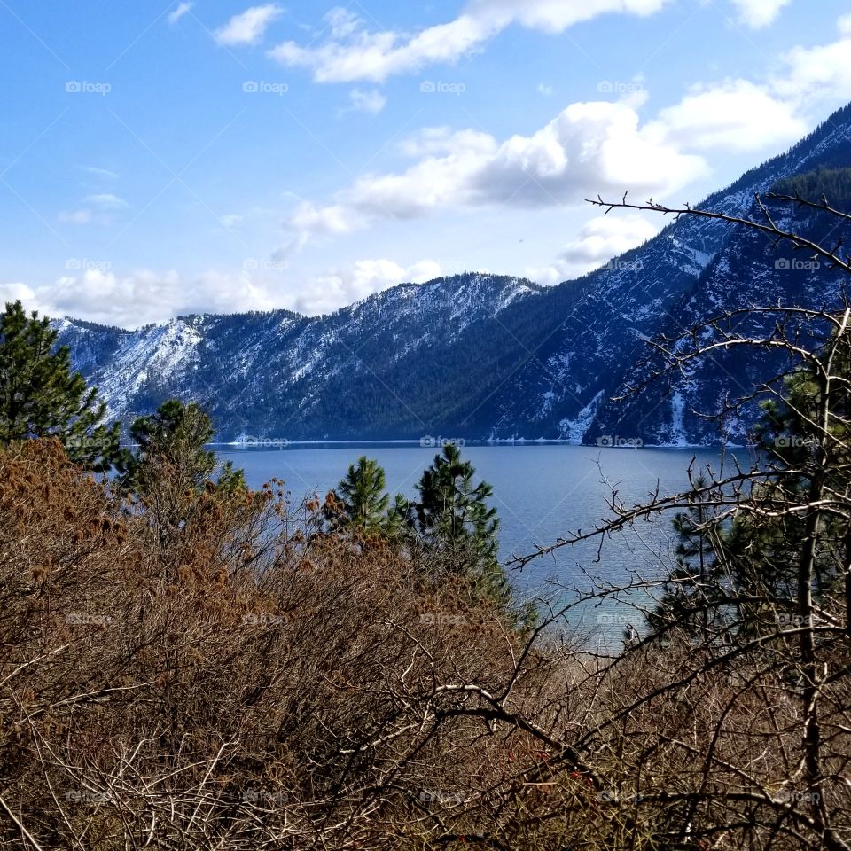 view of lake and mountain ridge over bushes on a spring day