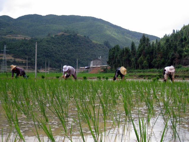 field china chinese mountain by mengzishiliu