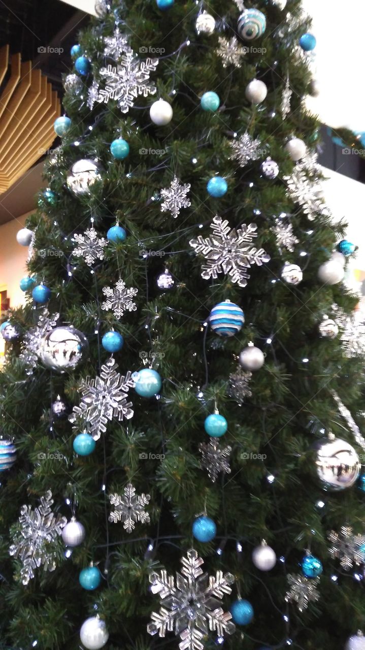 tree blue christmas