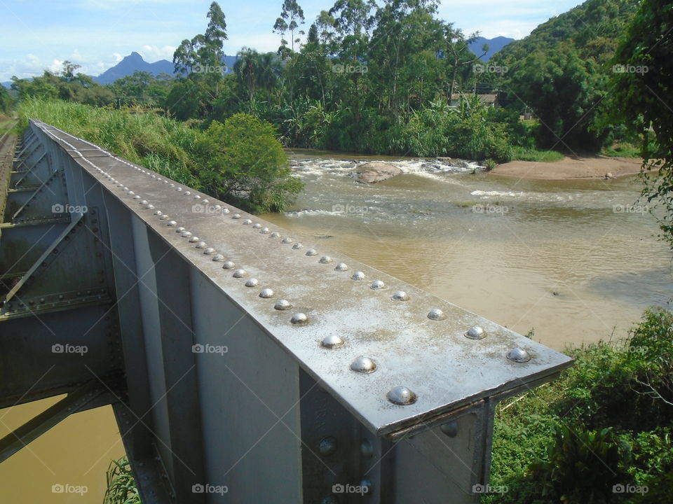 WATER LANDSCAPE TREE