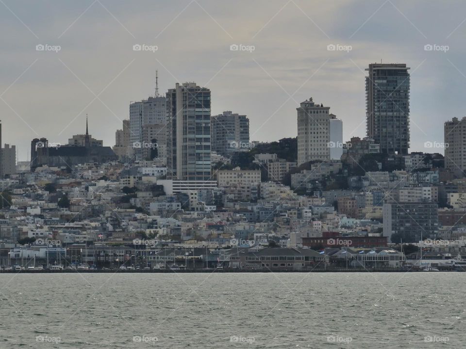 San Francisco Skyline 