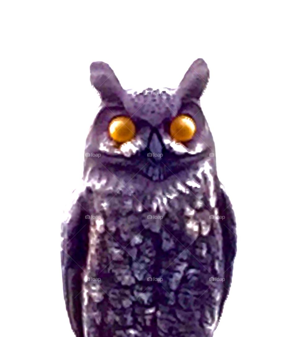 Owl statue 
