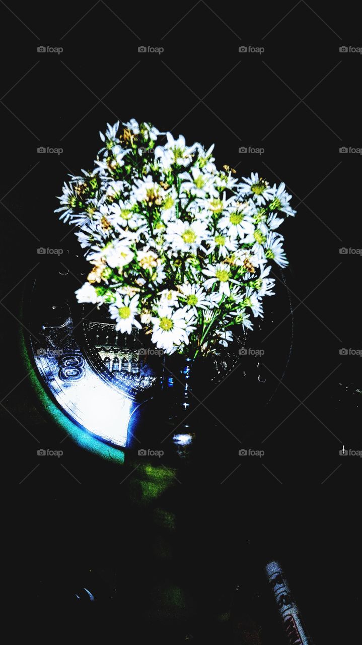 Flowers in a water pot