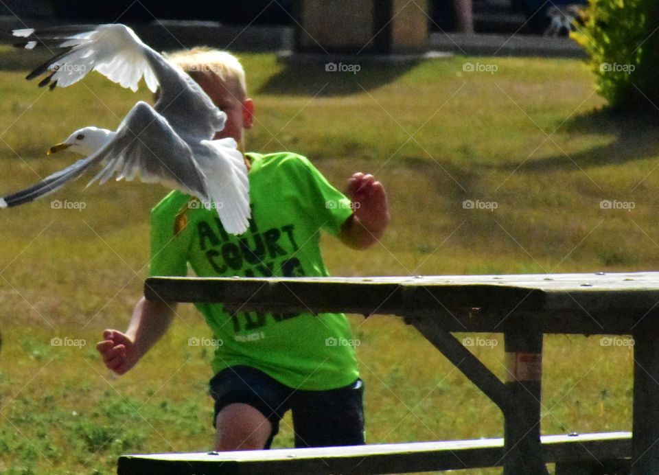 Kid chasing gull.