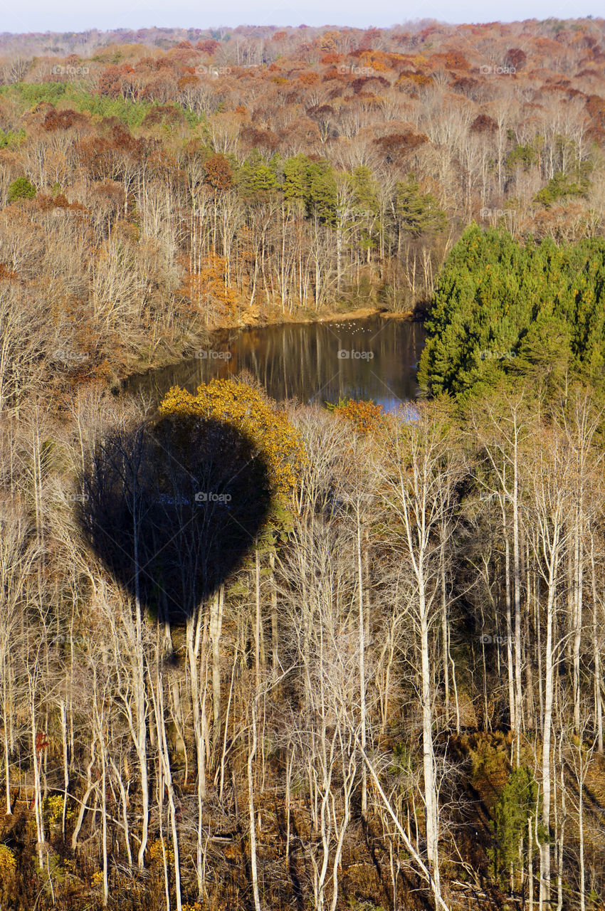 Shadow of a Hot Air Balloon 