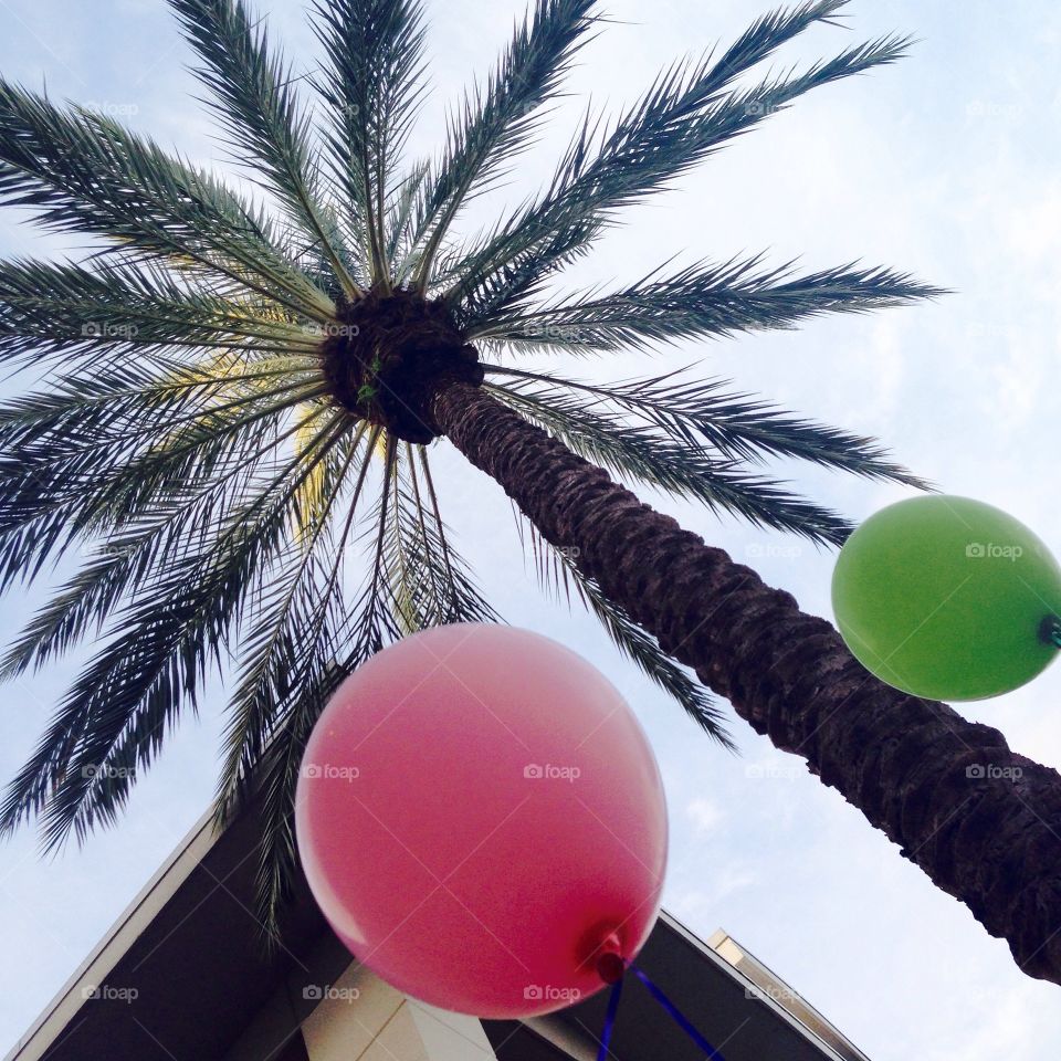 Balloons in the Palms