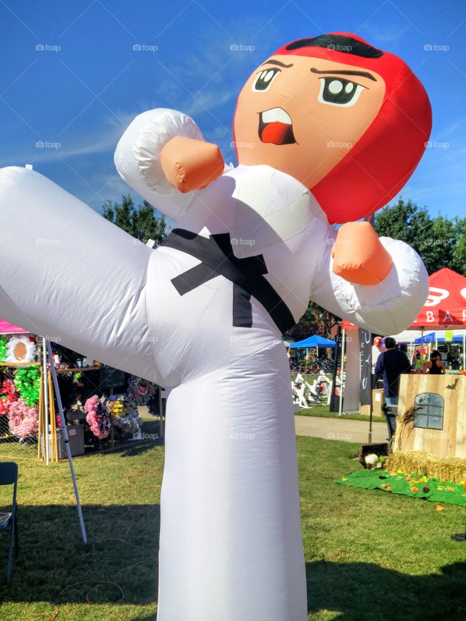 Inflated Martial Arts Master