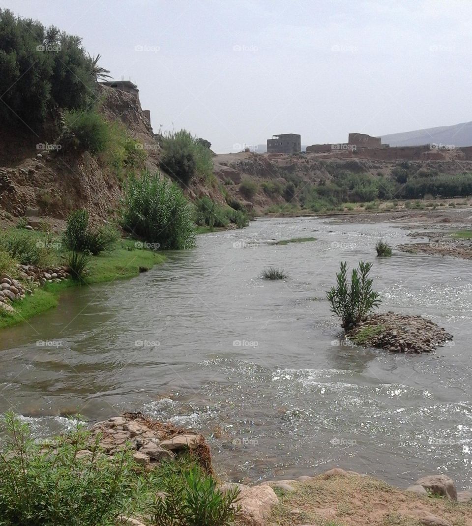 The river, the mountain, the trees, the birds, the sun