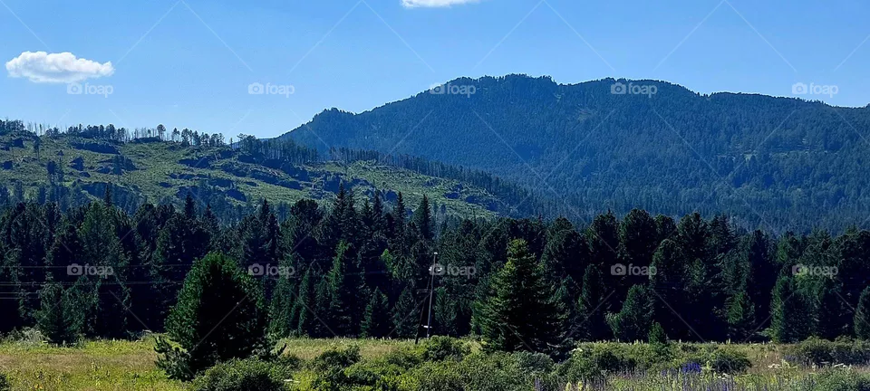 Altai mountains