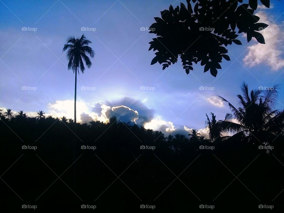 While walking towards our house, this caught my eye. I immediately put up my camera and shot this amazing sight.