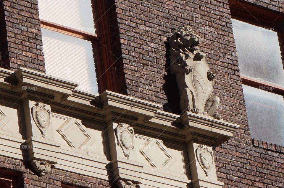 Lion detail on side of building