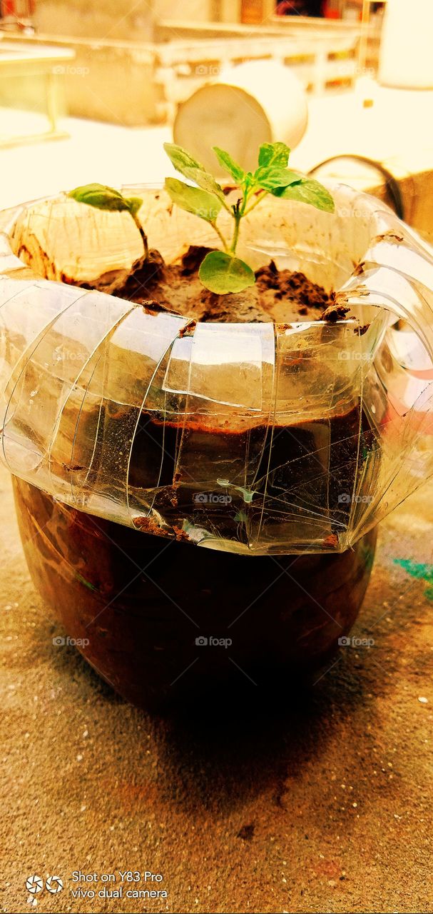 #foap #infoapartemen #foapjuly18 #foapaug18 #foapfeb18 #foapapril17 #foapers #foapjune18 #fotografoaprendiz #sfoapprentices #foaper #infoapartment #foapmission #foapmay18 #foapapr18 #foapit #infoaplikasipaytren #infoapple #foapom #foapjan19 #infoapp 