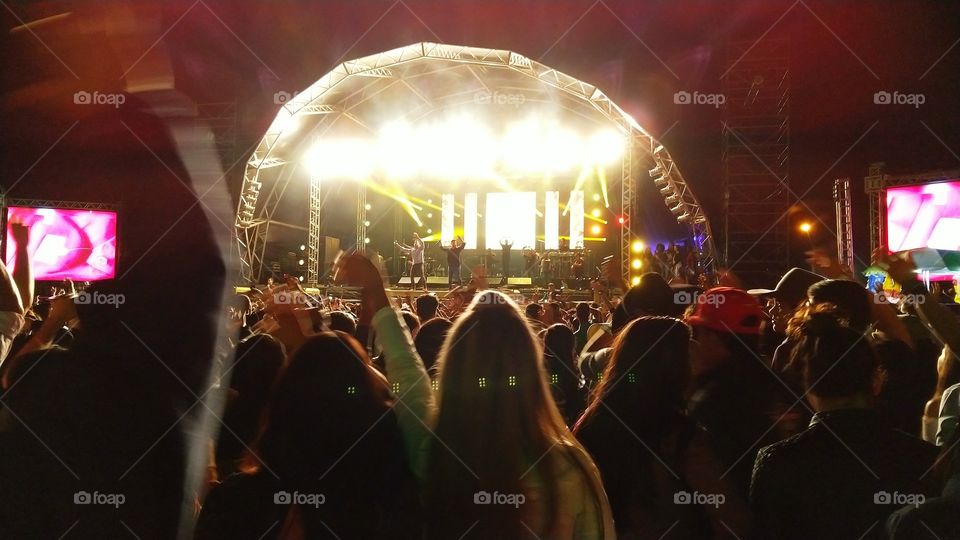 Publico em show musical.