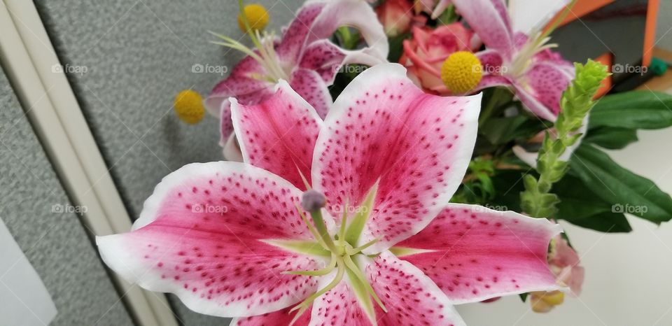 Close up floral