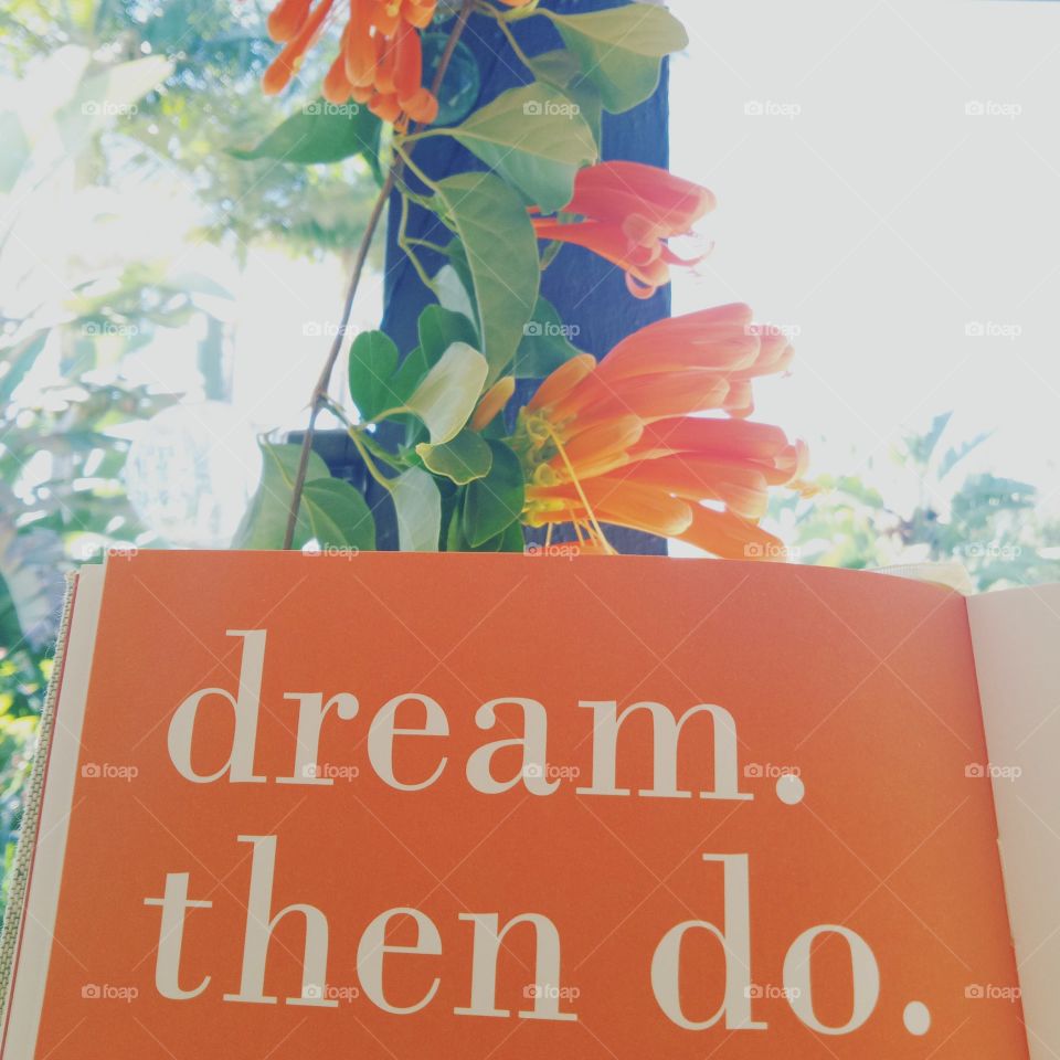 Dream quote on orange paper with orange flowers